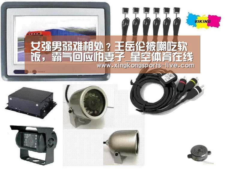 女强男弱难相处?王岳伦被嘲吃软饭,霸气回应怕妻子_星空体育在线(图2) 星空体育下载