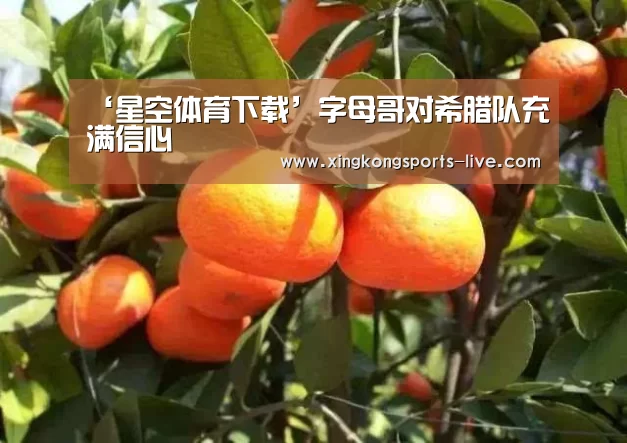 星空体育登录