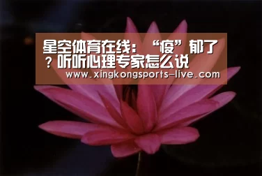 星空体育下载