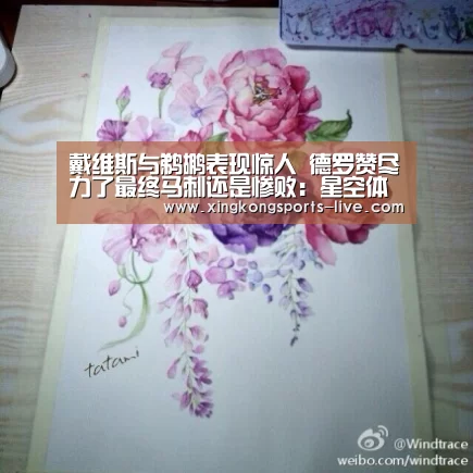 戴维斯与鹈鹕表现惊人 德罗赞尽力了最终马刺还是惨败:星空体育下载(图1) 星空体育在线